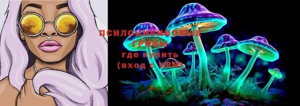 МДПВ Няндома