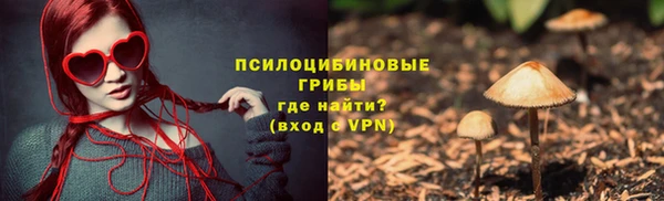 мдпв Нягань