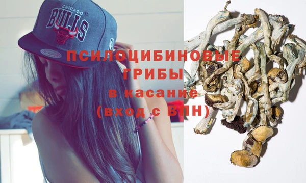 мдпв Нягань