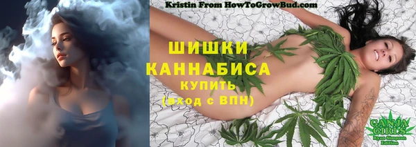 мдпв Нягань