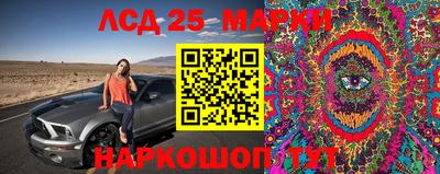 ПСИЛОЦИБИНОВЫЕ ГРИБЫ Кингисепп