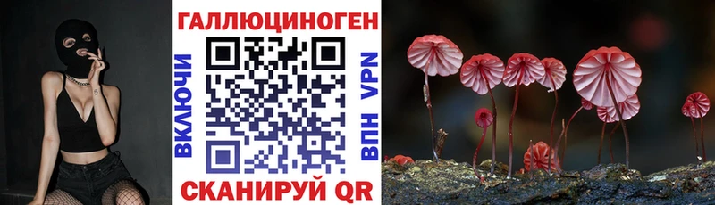 Псилоцибиновые грибы Psilocybe Кыштым