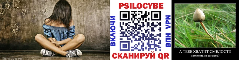 Псилоцибиновые грибы GOLDEN TEACHER Кыштым