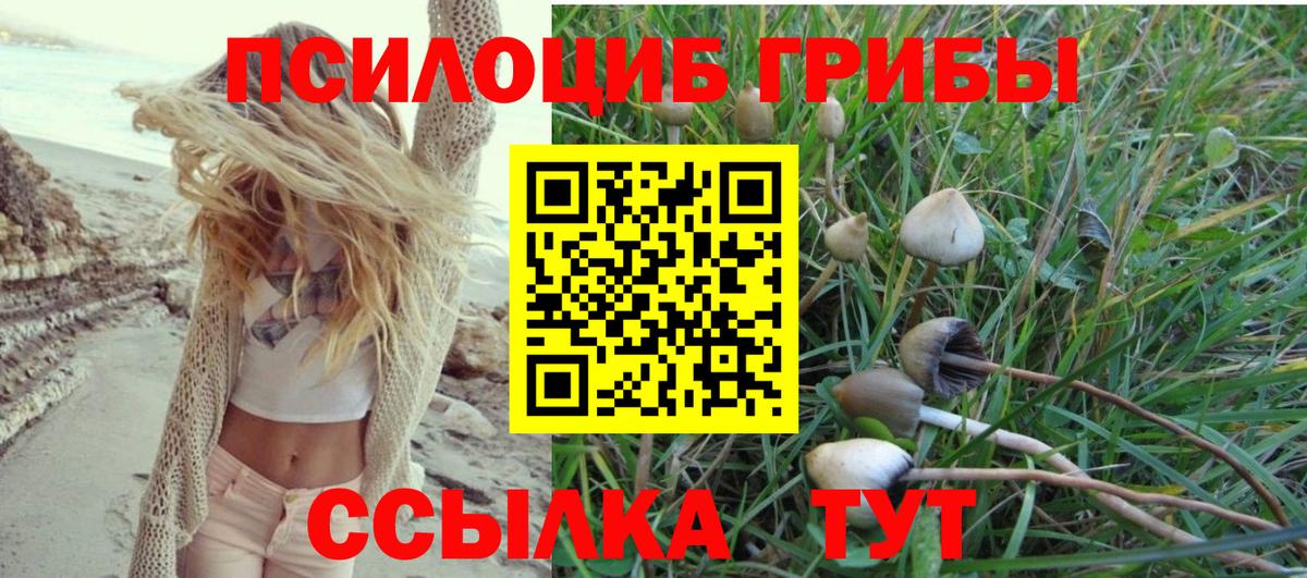 Галлюциногенные грибы Psilocybe  Псилоцибиновые грибы MAGIC MUSHROOMS  Кыштым 